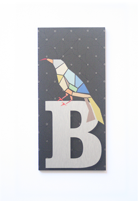 House number 'B' in brushed silver, 70mm x 148mm, with double-sided tape for easy installation and modern curb appeal.