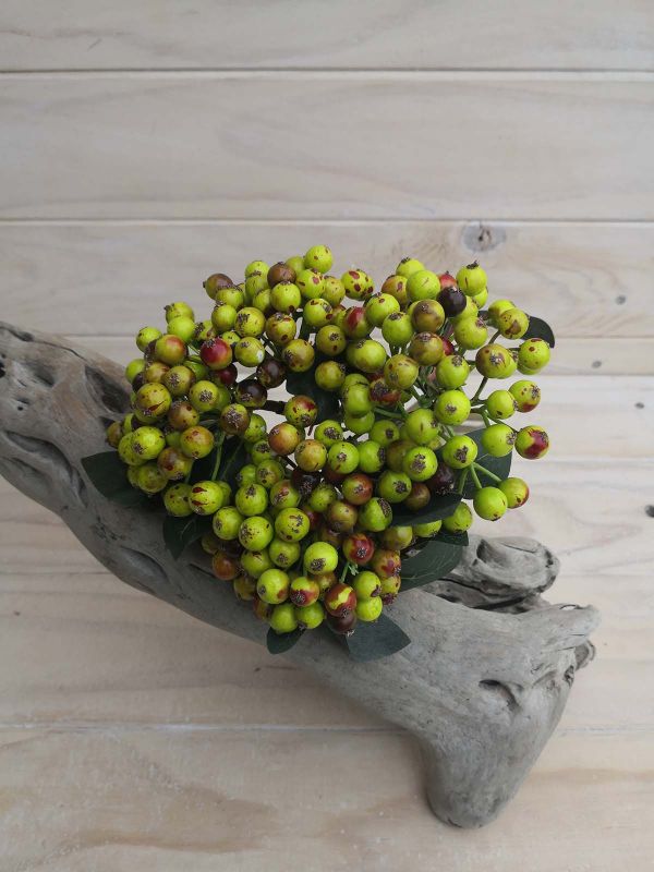 Berry Bunch - x 5 (Green)