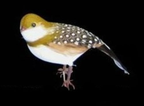 Ornament - Medium Partridge