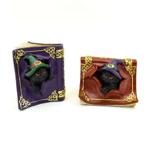 Ornament - Witches Black Cat Mischievous Spell Book (Set of 2 Asstd)