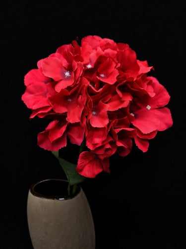 Hydrangea Stem (Red)