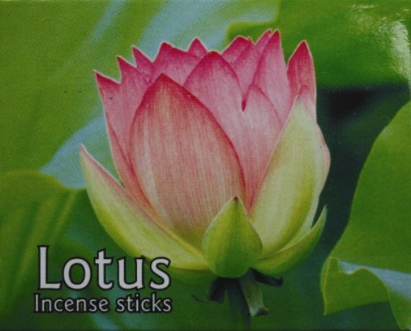 Kamini Lotus Cones