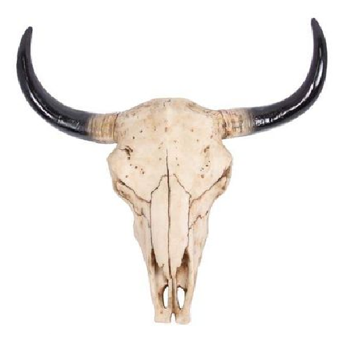 Cow Skull Hanging Wall Art