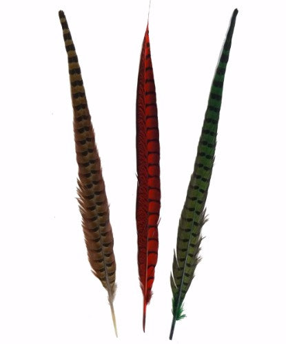 Green Pheasant Feather x 12