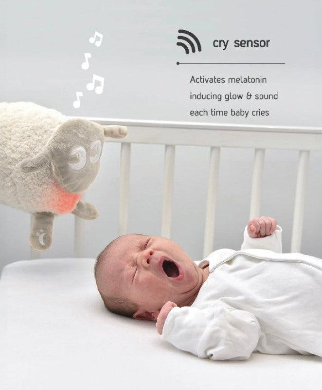 Deluxe Ewan the Dream Sheep