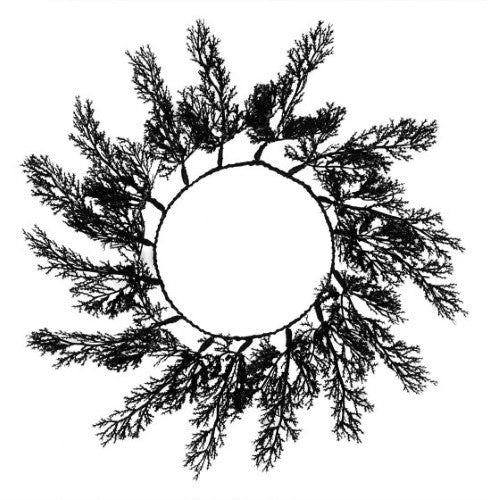 Elegant black foliage placemats, 40cm, eco-friendly, perfect for enhancing any dining experience.