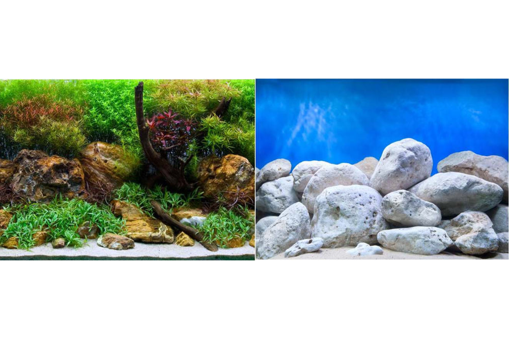 Aqua Garden/Bright Stone 45cm -15m roll - Seaview Brilliant Backgrounds