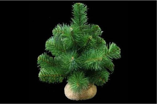 Ornament - Australian Pine Tree with Burlap