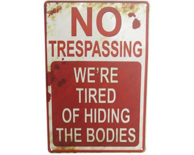 Retro tin art sign measuring 30cm x 20cm, perfect for adding quirky decor to any space.