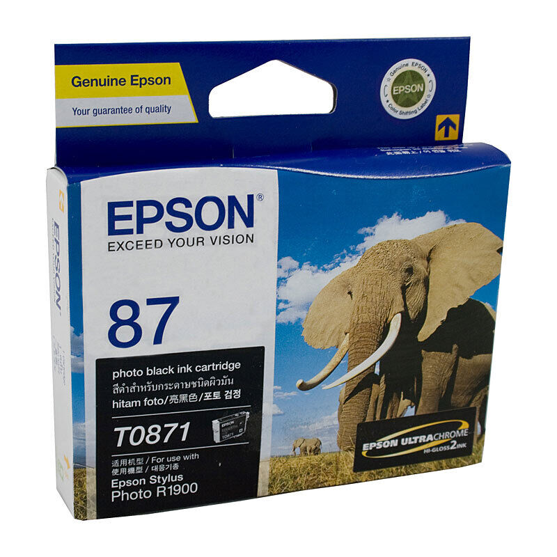 Epson T0871 Photo Black Ink