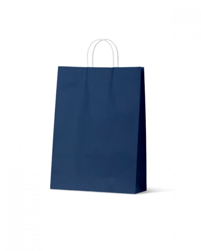 Paper Bags - Earth Collection Navy Large - 100 units