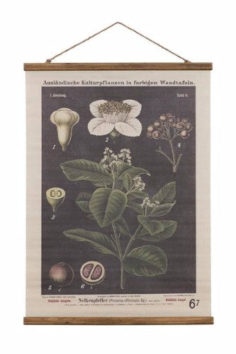 Vintage Canvas Allspice Print 60x96cm