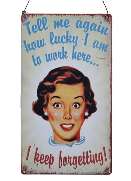 Wall Art / Plaque - Tell Me Again How Lucky I Am - Metal