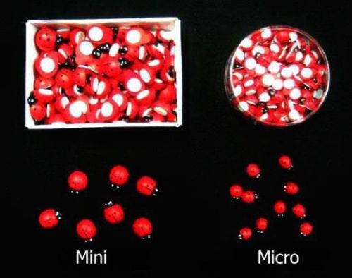 Mini Ladybird Stickers (100 Per Box)