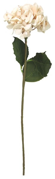 Realistic 75cm cream hydrangea stem perfect for vase arrangements and home decor, offering lasting beauty with no maintenance.