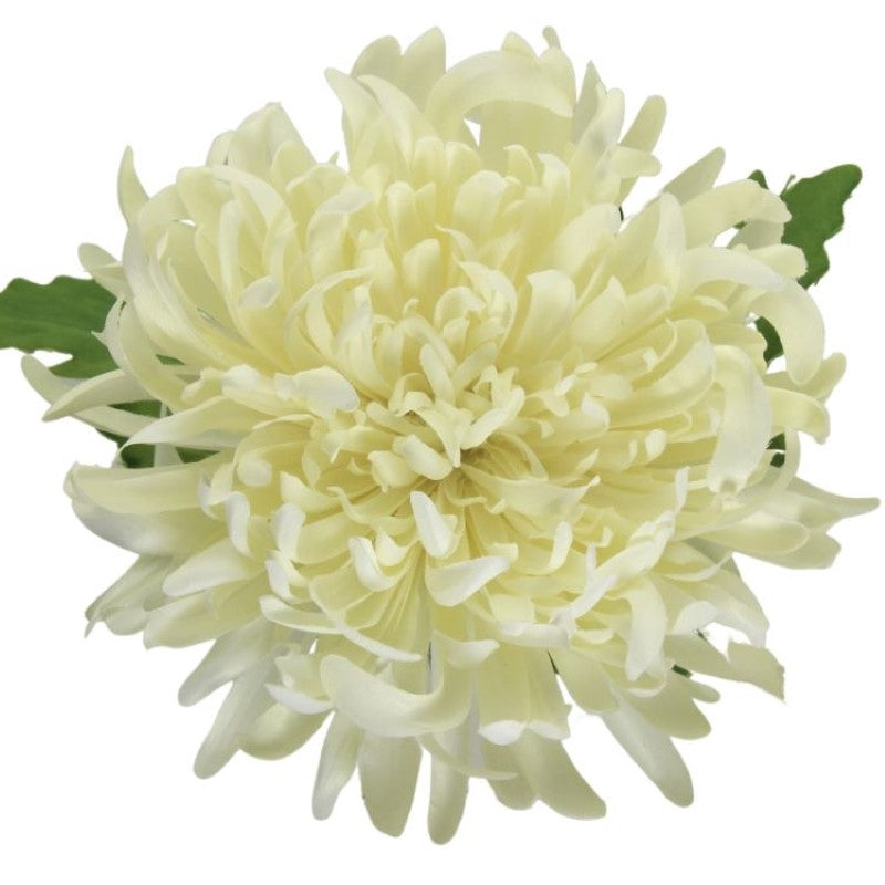 Artificial Flowers - Single Stem Chrysanthemum in Cream 73cmH