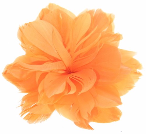Fascinator - Feather Flower ORANGE