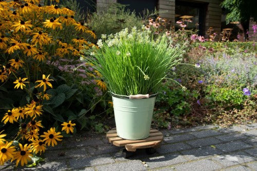 Outdoor Plant Trolley - Round Brown (Set of 2)