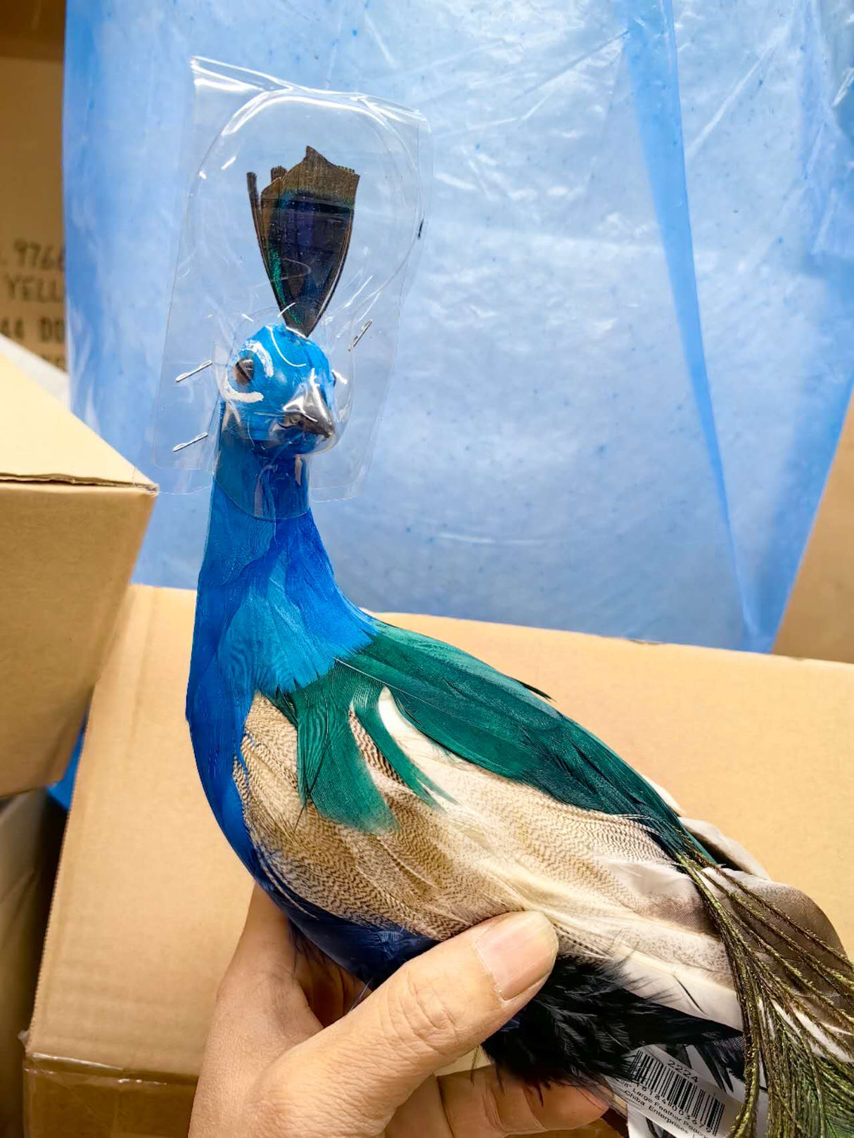 Ornament - Peacock - Natural Feather (Large)