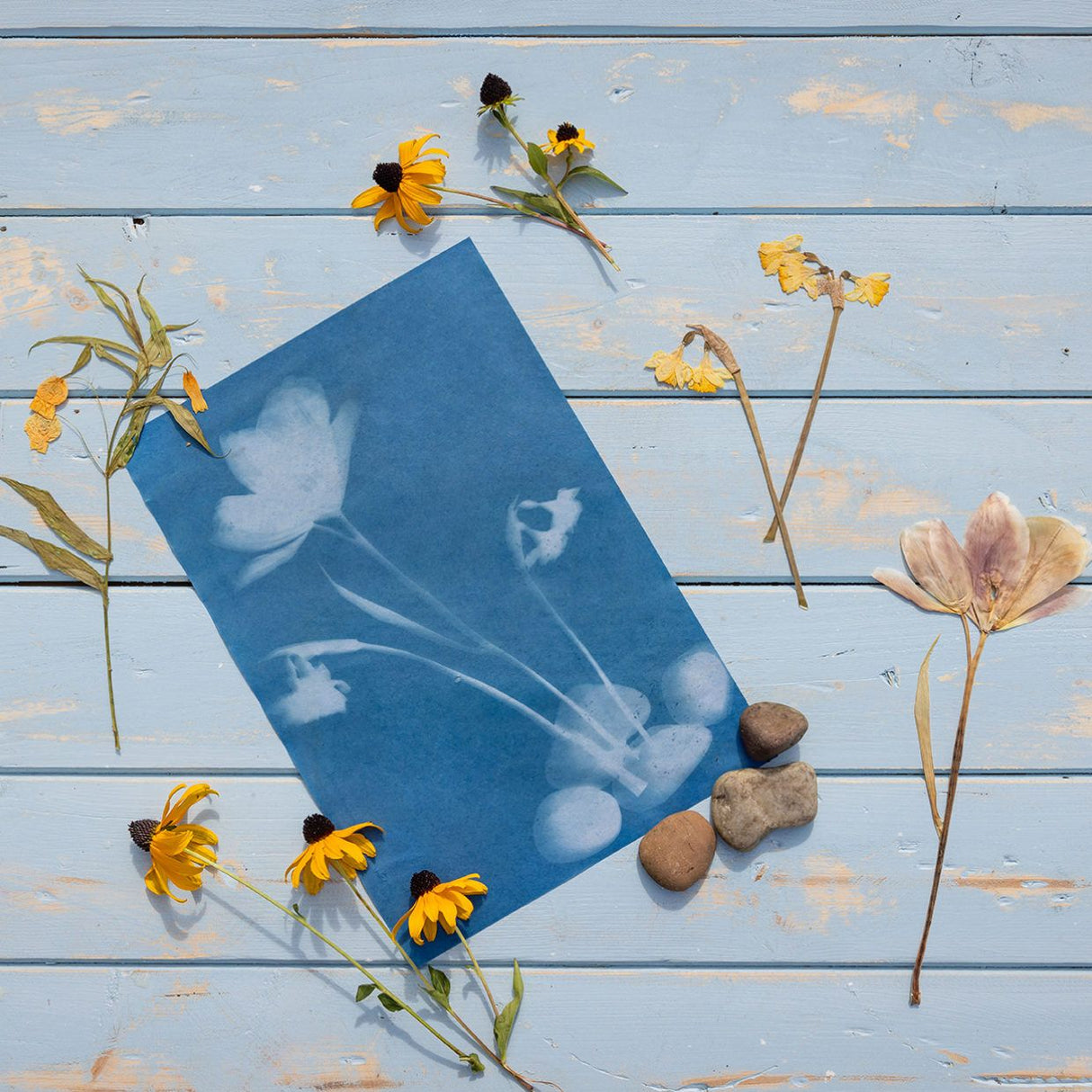 Solar Photo Paper - A4 (Set of 6)