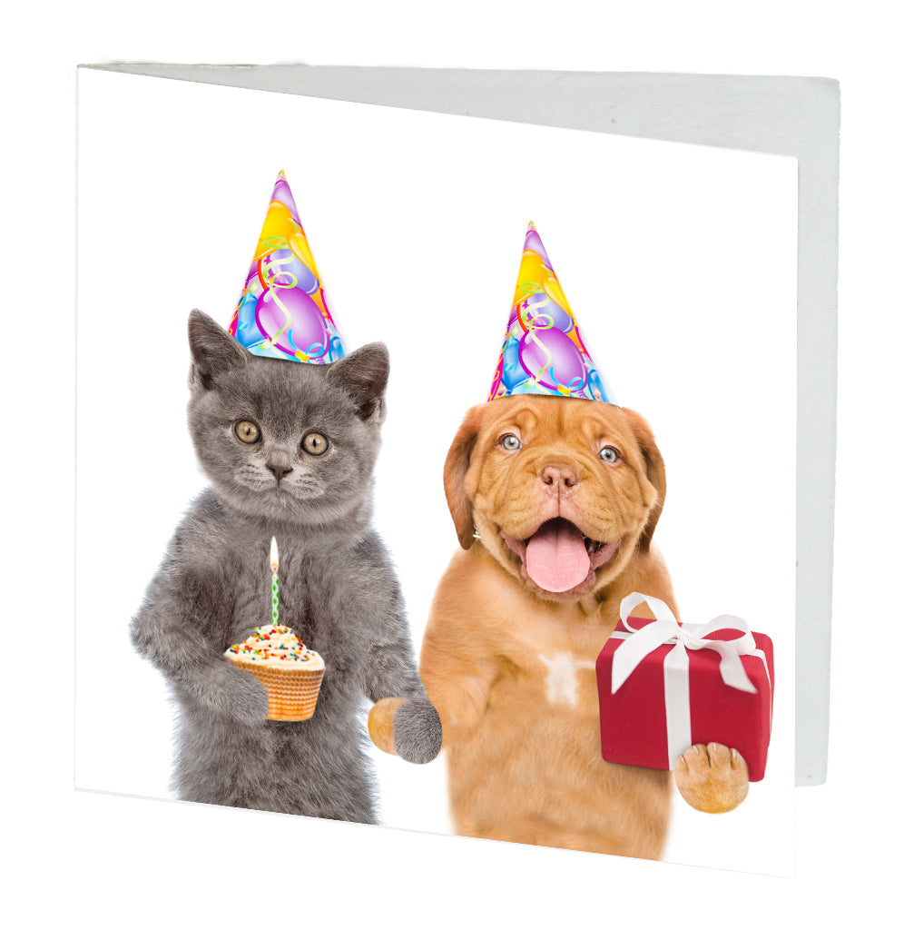 Gift Card Birthday Cat and Dog Pack of 10 Envelopes included