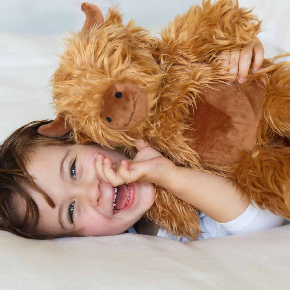 Moana Road - Soft Toy - Hamish The Highland Cow (Large) - 2 units