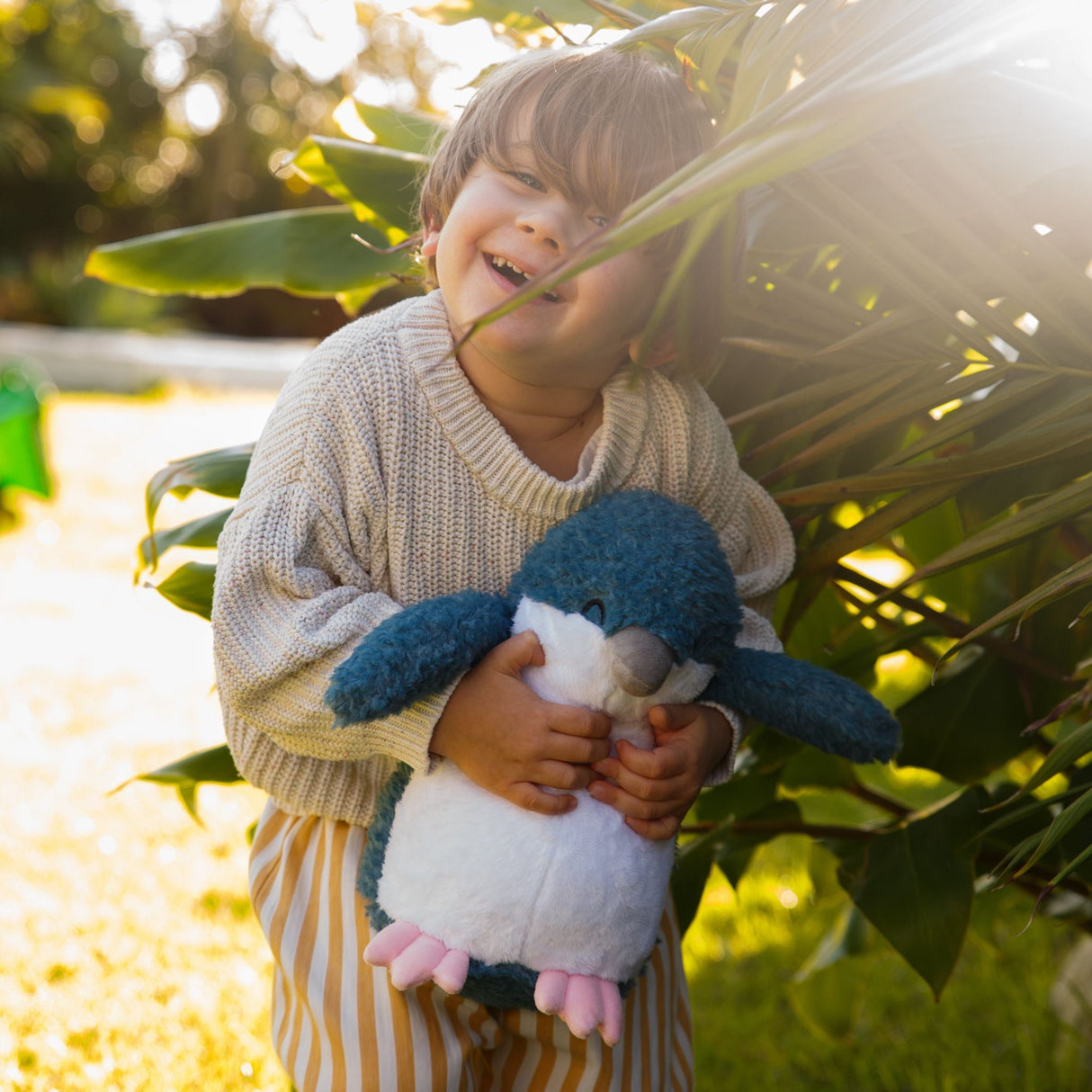 Moana Road - Soft Toy - Kiri The Korora - 2 units