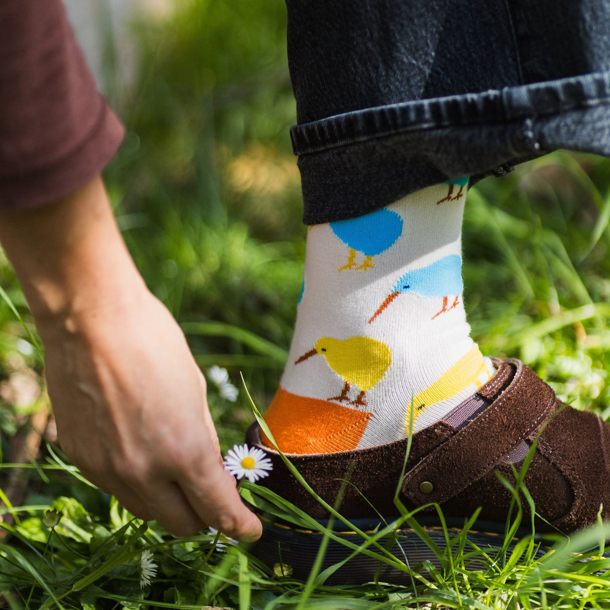 Moana Road - Jacquard Adult Socks - Pop Kiwi (Size 7-11) - Pack of 6