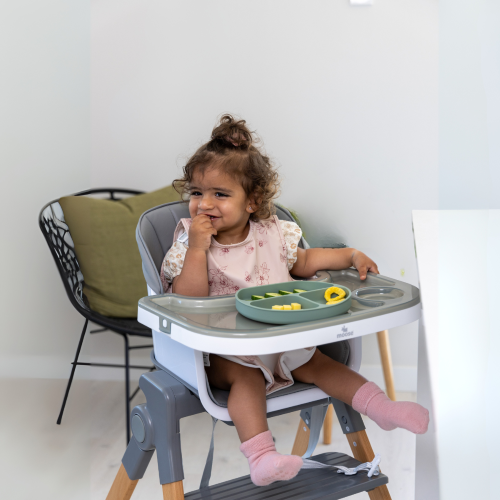 High Chair - Moose Frankie