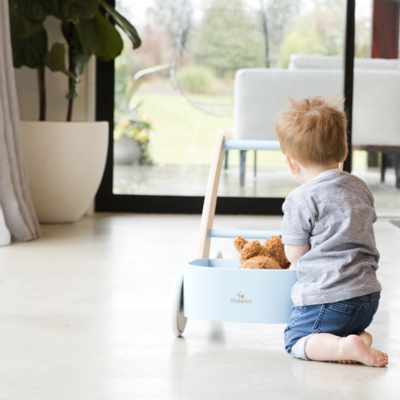 Baby Walker - Moose (Grey)