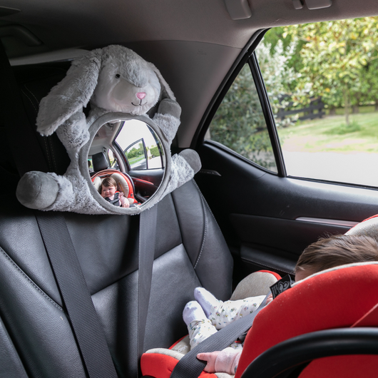 Baby in View Mirror - Moose Bunny