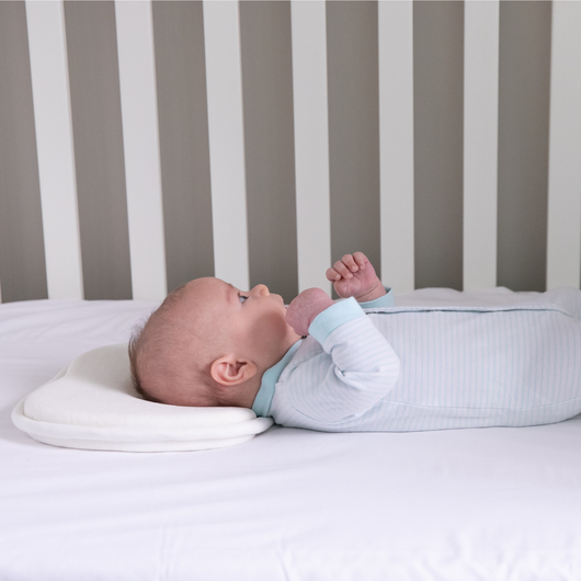 Baby Head Shape Support - Moose (White)