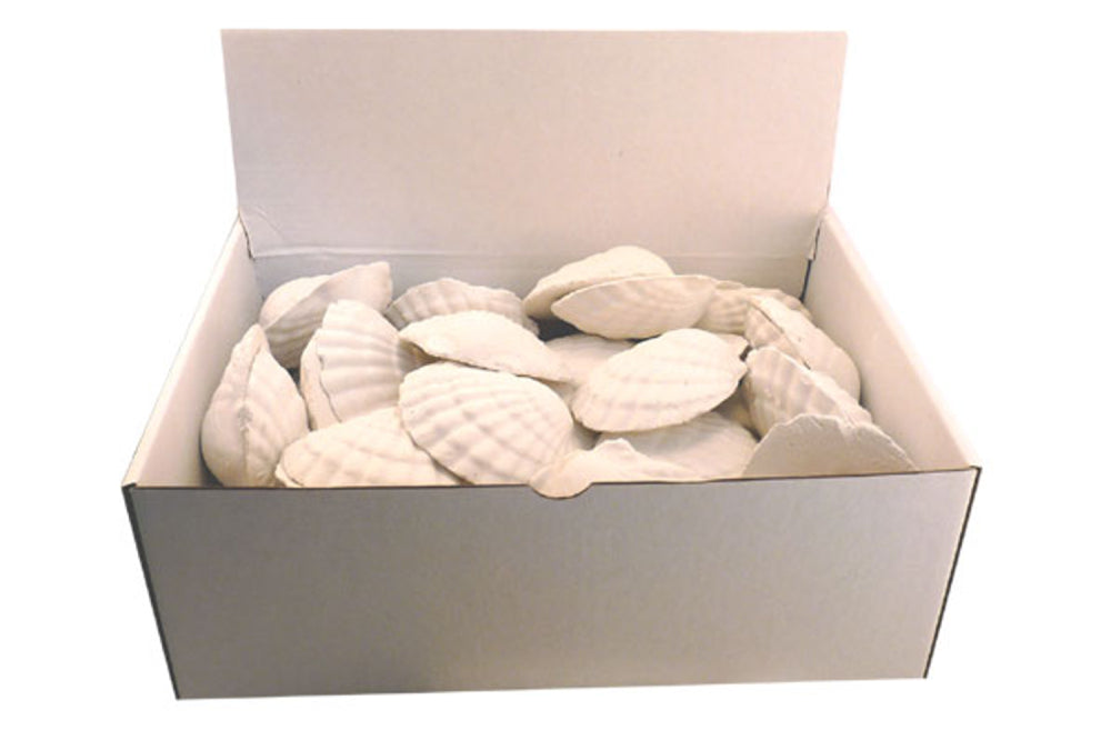 Oxy Shells (Oxygen Shell) Aquarium - Bulk 50