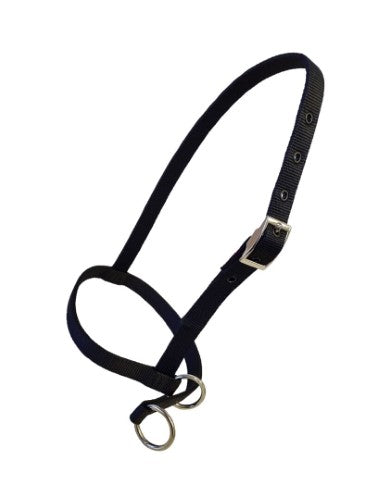 Taurus Nylon Calf Leading Halter Black