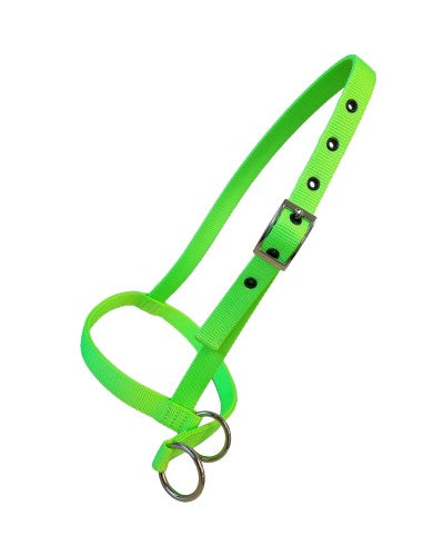 Taurus Nylon Calf Leading Halter Lime Green