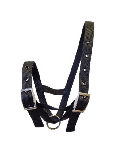 Taurus Nylon Calf Tethering Halter Black