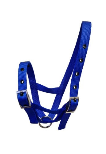 Taurus Nylon Calf Tethering Halter Blue