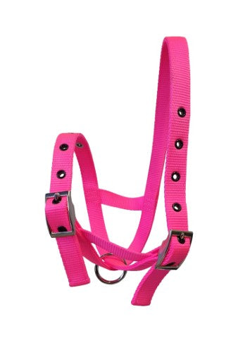 Taurus Nylon Calf Tethering Halter Hot Pink