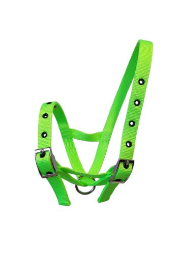 Taurus Nylon Calf Tethering Halter Lime Green
