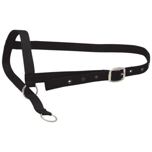Taurus Nylon Cow Leading Halter Black