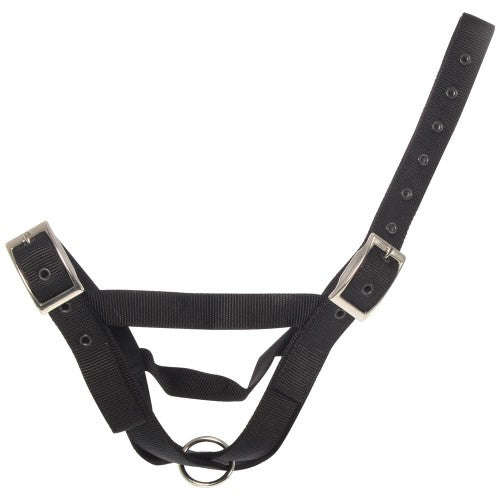 Taurus Nylon Cow Tethering Halter Black