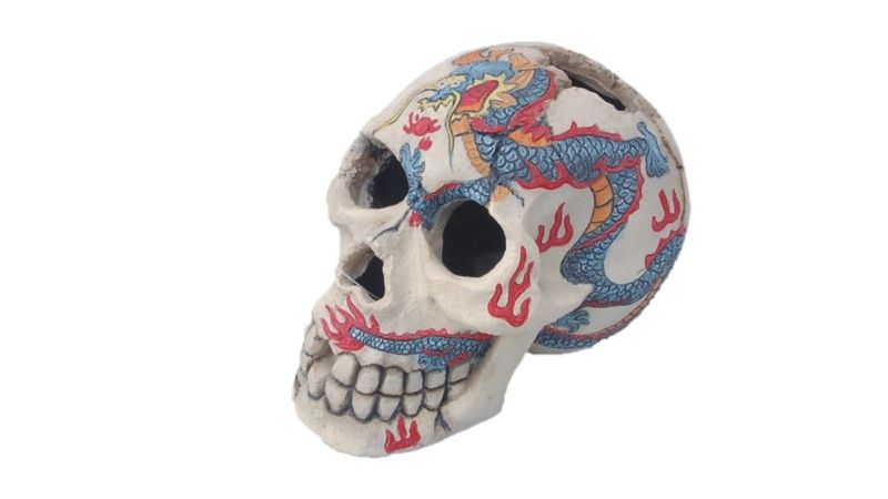 Aquatic Ornament - Skull painted (15cm)