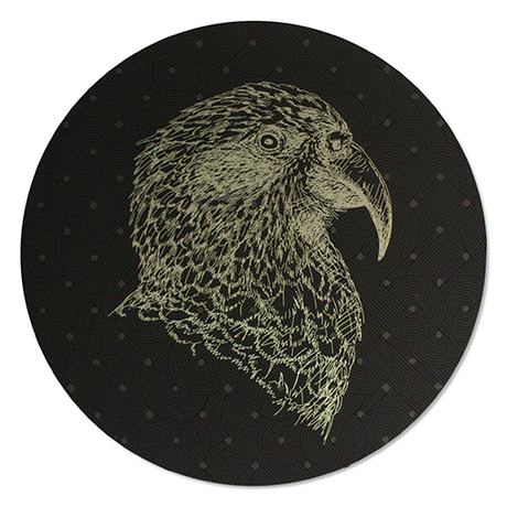 Vibrant 250mm Kea Printed Brushed Circle Wall Art in durable ACM, ideal for adding style to any indoor or outdoor space.