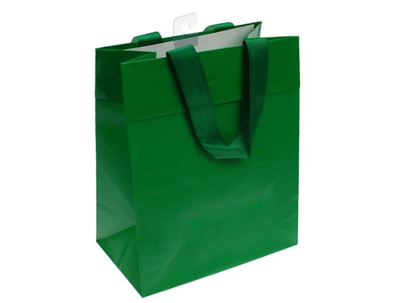 Paper Gift Bag - Green Small 24.7cm (Set of 10)