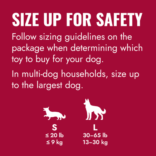 Dog Toy - KONG Flyer (Large)