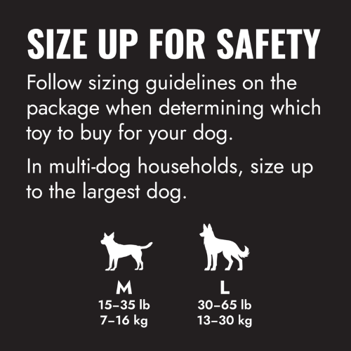 Dog Toy - KONG Extreme Goodie Ribbon (Large)