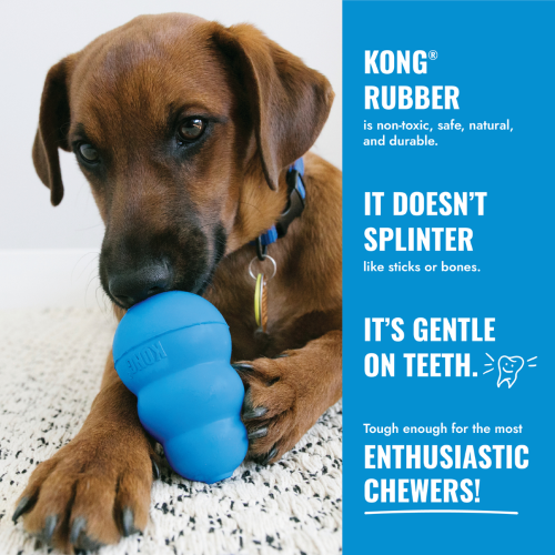 Dog Toy - KONG Puppy Ball Medium/Large (Assorted)