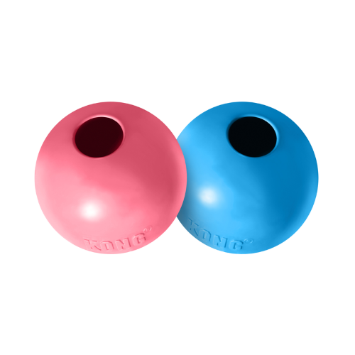 Dog Toy - KONG Puppy Ball Medium/Large (Assorted)