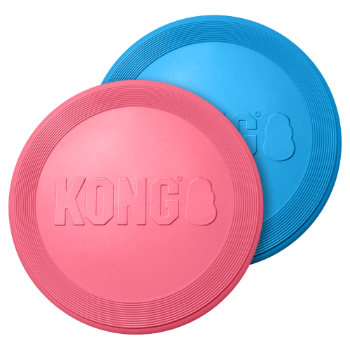 Dog Toy - KONG Puppy Flyer (Assorted)