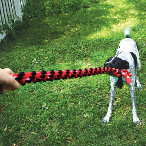 Dog Toy - KONG Signature Rope Double Ring